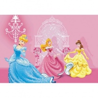 FOTOTAPET PRINTESE DISNEY IN CASTELUL ROZ - FOTOTAPET PRINTESE DISNEY IN CASTELUL ROZ
