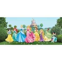 FOTOTAPET PRINTESE DISNEY PE PAJISTE - FOTOTAPET PRINTESE DISNEY PE PAJISTE