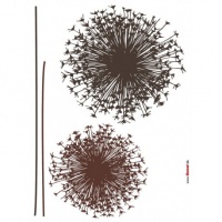 STICKERE PERETE PAPADIE - STICKERE PERETE PAPADIE