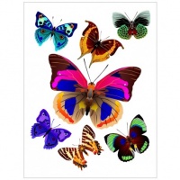 DECOR PERETE FLUTURI MULTICOLORI - DECOR PERETE FLUTURI MULTICOLORI