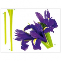 DECOR PERETE FLOARE DE IRIS VIOLET - DECOR PERETE FLOARE DE IRIS VIOLET