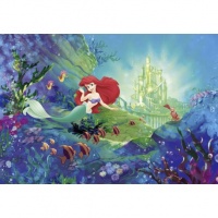 FOTOTAPET ARIEL - CASTELUL SIRENEI - FOTOTAPET ARIEL - CASTELUL SIRENEI