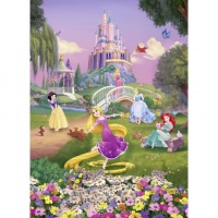 FOTOTAPET PRINTESE DISNEY IN PARC - FOTOTAPET PRINTESE DISNEY IN PARC