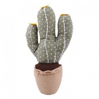 PERNUTA OPRITOR USA CACTUS - PERNUTA OPRITOR USA CACTUS