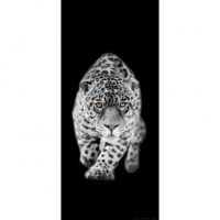 FOTOTAPET LEOPARD - FOTOTAPET LEOPARD