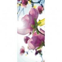 FOTOTAPET USI MAGNOLII - FOTOTAPET USI MAGNOLII