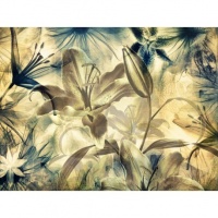 FOTOTAPET FLORI DE CRIN - FOTOTAPET FLORI DE CRIN