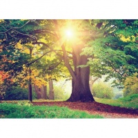 FOTOTAPET APUS TOMNATIC - FOTOTAPET APUS TOMNATIC