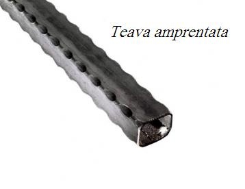 TEAVA AMPRENTATA