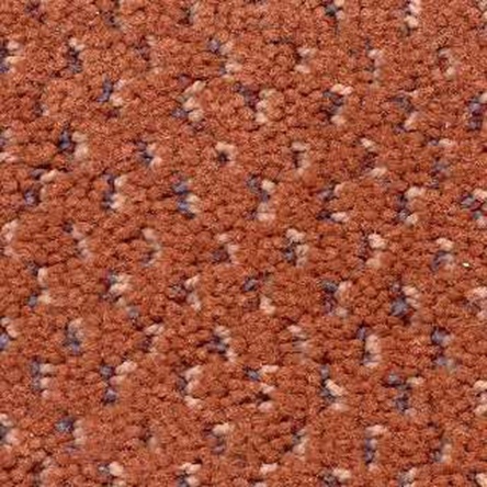  MOCHETA TRAFIC INTENS MOSAICO RADICI