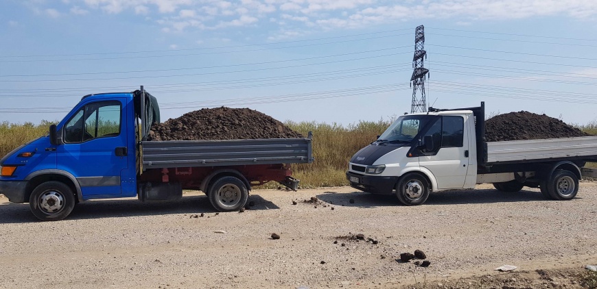 PAMANT NEGRU VEGETAL DE PADURE PENTRU GAZON FLORI GRADINA BUCURESTI ILFOV