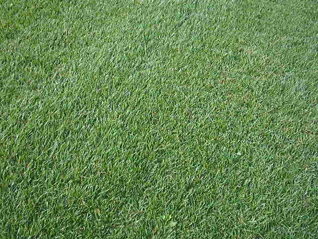 RULOURI DE GAZON IMPORT AUSTRIA