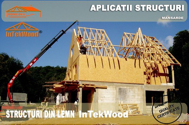 CONSTRUCTII DIN LEMN, MANSARDE CASE, CABANE CU 2 NIVELE