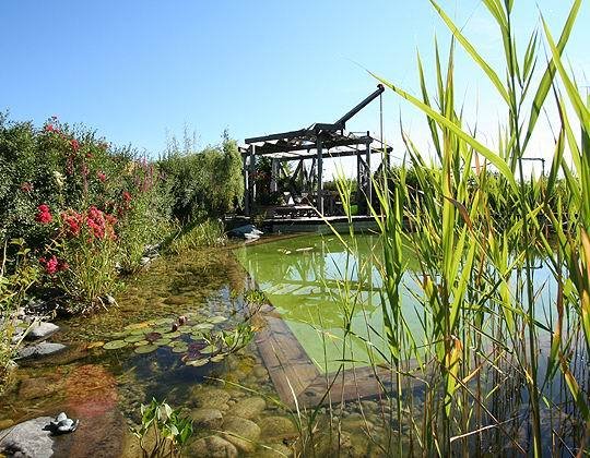 PISCINE ECOLOGICE