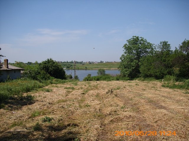 TEREN MOARA VLASIEI - ILFOV VEDERE LAC, PADURE 