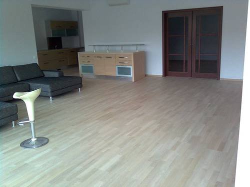 MONTAM,RASCHETAM,RECONDITIONAM PARCHET,LAMBRIURI,USI