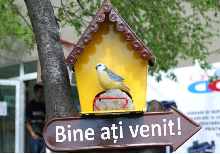 CASUTA -BINE ATI VENIT-