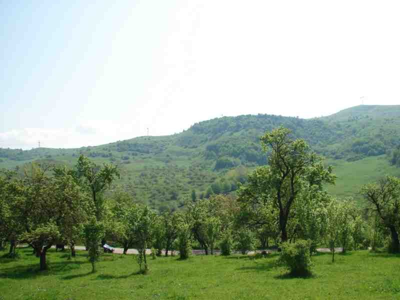 CAMPULUNG - SUSLANESTI LIVADA INTRAVILAN