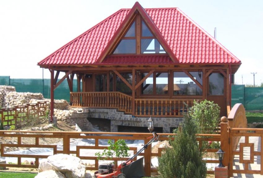FOISOR 100MP