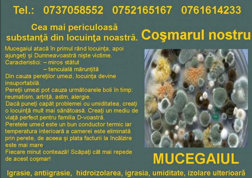 MOLD REMOVAL, ANTIIGRASIE, HIDROIZOLAREA, IGRASIE, IGRASIA, UMIDITATE, IZOLARE ULTERIOARă