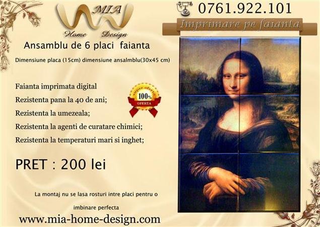 FAIANTA IMPRIMATA - 6 PLACI (15X15CM) MONALISA