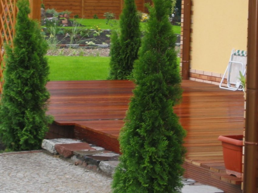 DECK EXTERIOR ULMO