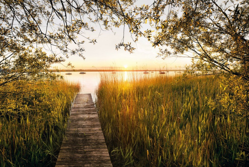 FOTOTAPET NATURA - APUS PE LAC VLIES