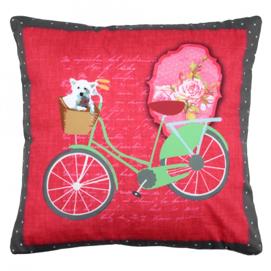 PERNA ROSIE CU BICICLETA VERDE