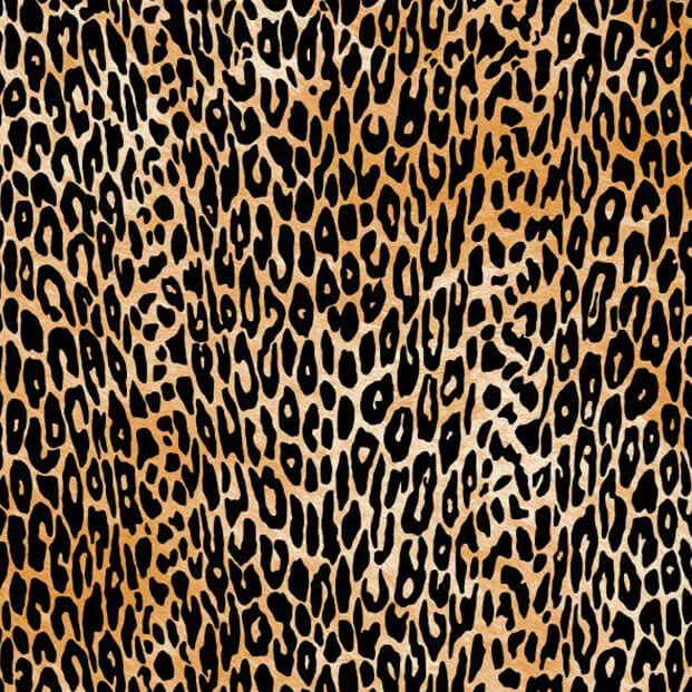 AUTOCOLANT CATIFEA LEOPARD AMUR 45 CM
