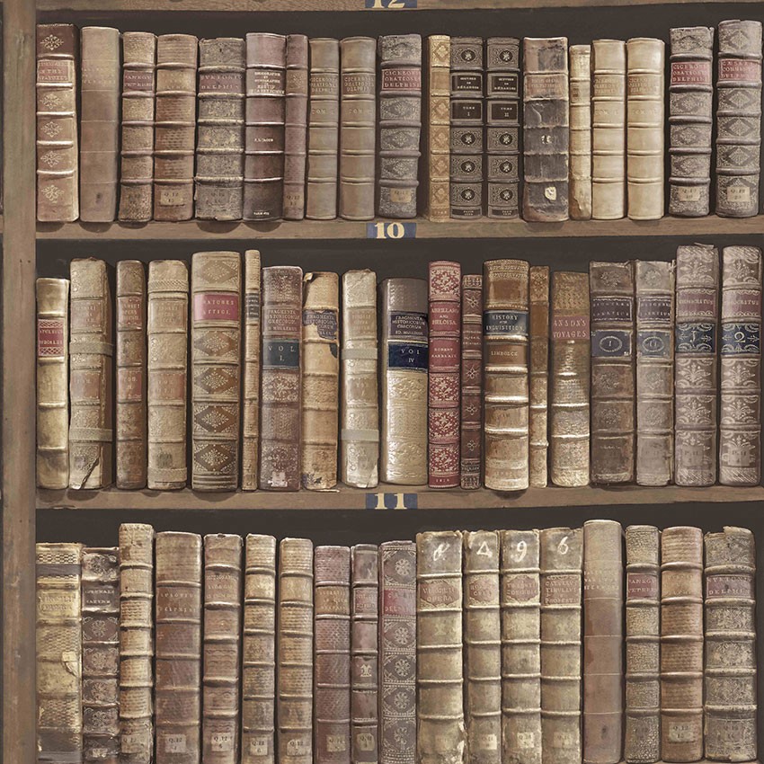 TAPET VINTAGE CARTI BIBLIOTECA STEJAR OXFORD II