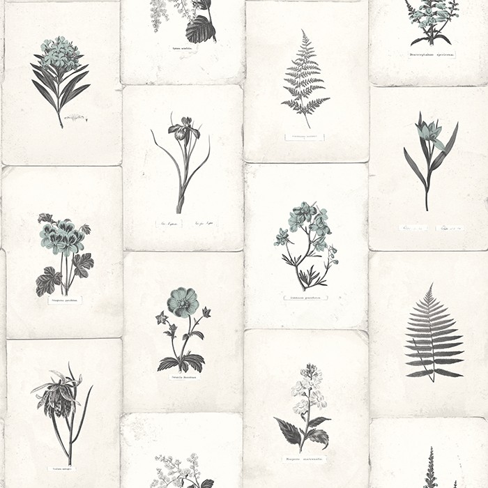 TAPET OXFORD II - BOTANICA NEGRU CARBUNE