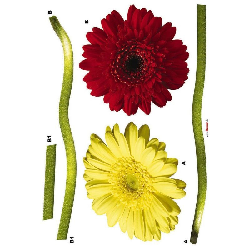 STICKER FLORI - GERBERA COLORATE