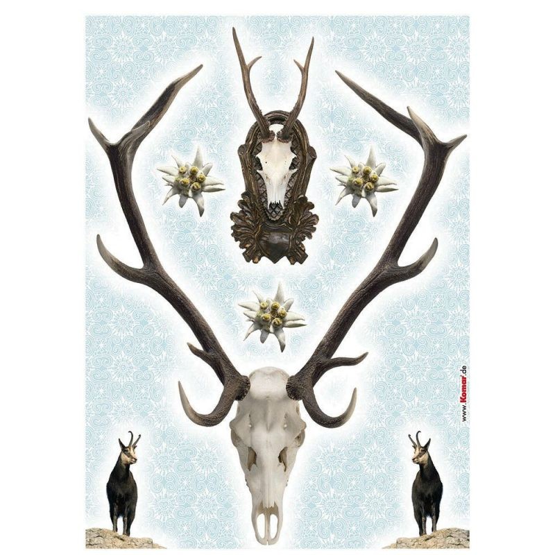 STICKER PERETE - DECOR HOLADIHO
