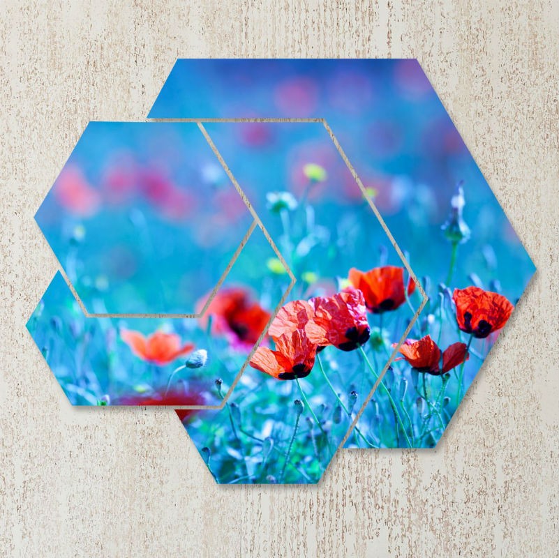 TABLOU MACI ROSII MULTICANVAS - SENSIBILITATE
