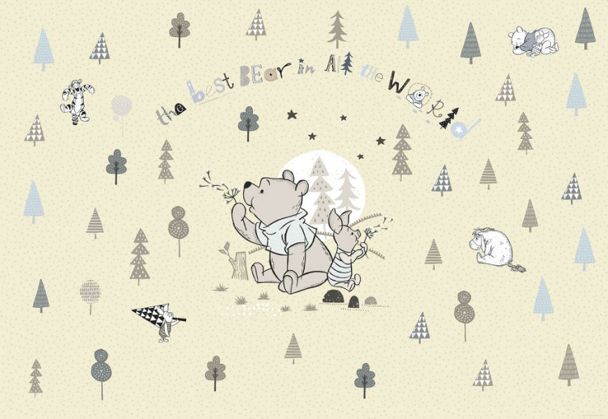 FOTOTAPET CAMERA COPII WINNIE THE POOH - CEL MAI DRAGUT URSULET