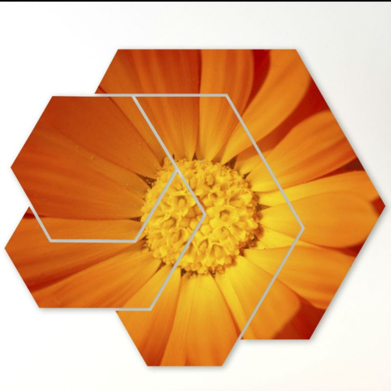 TABLOURI 4 PIESE - DETALIU FLORAL SUPRADIMENSIONAT