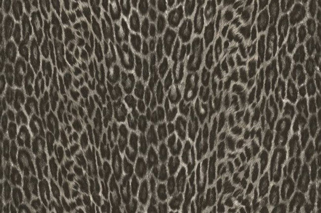 AUTOCOLANT DECORATIV LEOPARD ASIATIC 45 CM