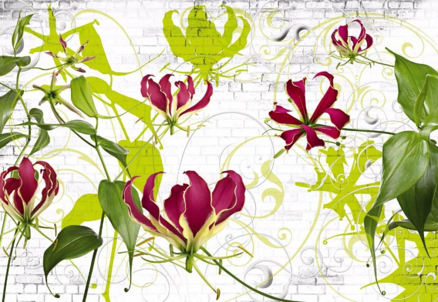 FOTOTAPET FLORAL - CRINI GLORIOSA SUPERBA
