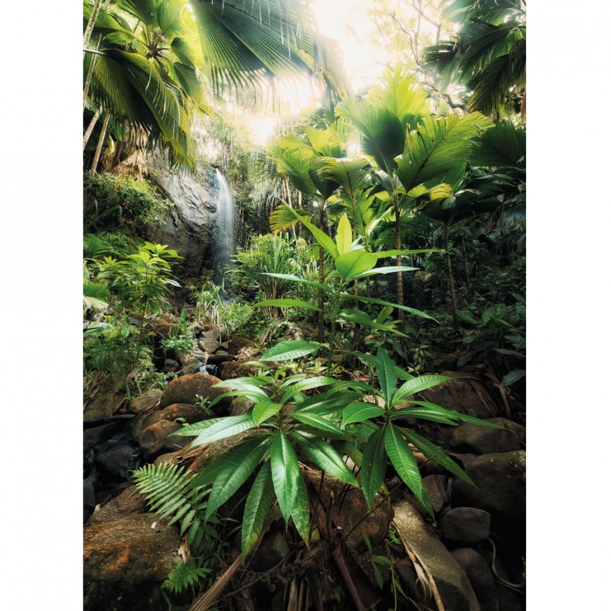 FOTOTAPET NATURA - VALLéE DE MAI