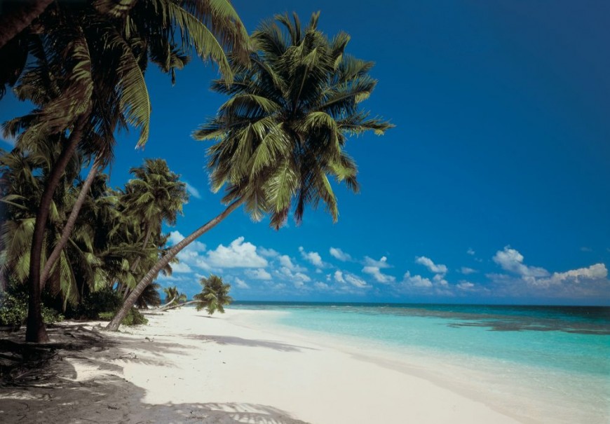 FOTOTAPET PLAJA - PEISAJ MALDIVE