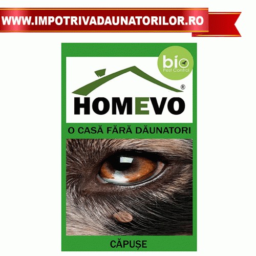 PULBERE IMPOTRIVA CAPUSELOR 50G