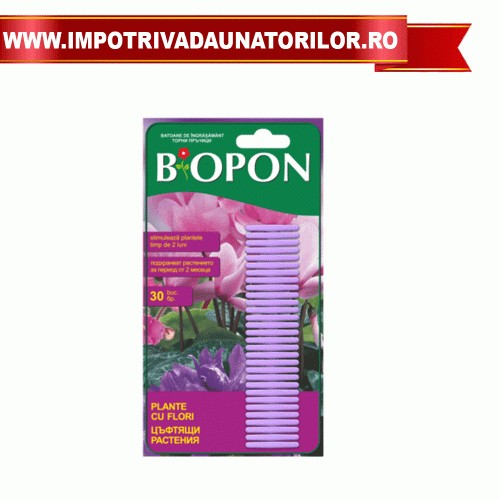 INGRASAMANT PLANTE CU FLORI STICKS 30 BUC