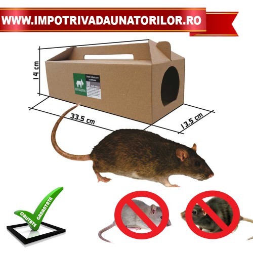 BIG BAIT STATION - STATIE INTOXICARE DIN CARTON