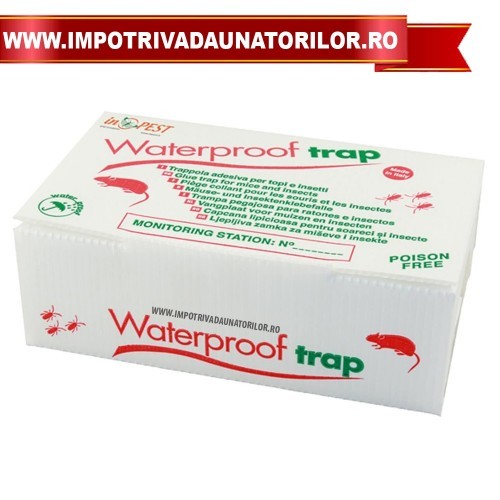 STATIE DE INTOXICARE DIN CARTON CU ADEZIV INCLUS