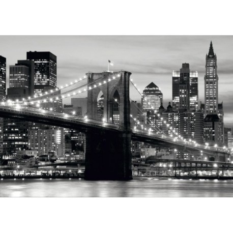 FOTOTAPET NEW YORK - PODUL BROOKLYN