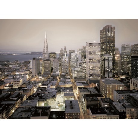 FOTOTAPET PEISAJ URBAN - SAN FRANCISCO