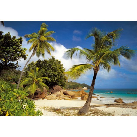 FOTOTAPET PLAJA PRASLIN