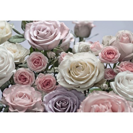 FOTOTAPET TRANDAFIRI SHABBY CHIC
