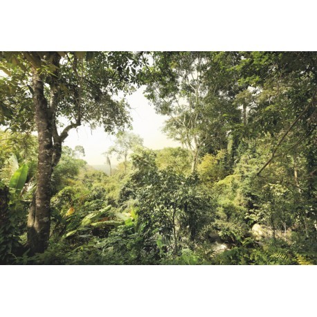 FOTOTAPET PADURE TROPICALA