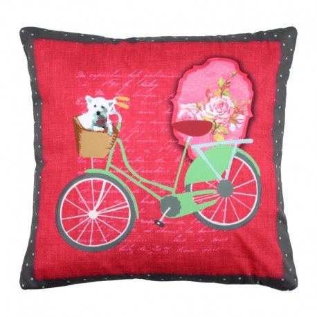 PERNA ROSIE CU BICICLETA VERDE